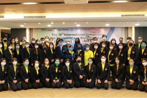 ชุดสูทองค์กร